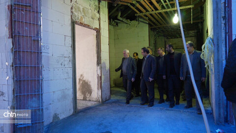 بازدید مدیرعامل صندوق توسعه و احیای بناهای تاریخی و فرهنگی از ظرفیت‌های گردشگری ملایر