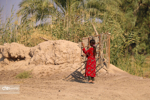 هدیه محسنی راد