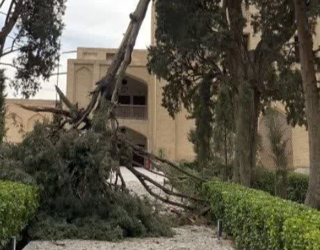 آغاز عملیات ایمن‌سازی و بررسی وضعیت ریشه و پایداری درختان باغ فین کاشان