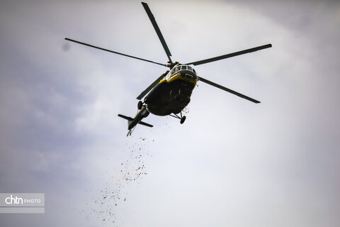 راهپیمایی ۲۲ بهمن؛ جلوه‌ای از هویت ملی