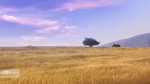 طبیعت لالی خوزستان