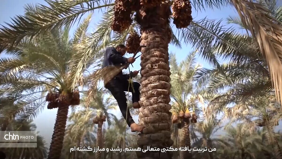 روستای غزاویه بزرگ