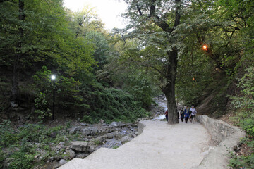 افزایش آمادگی جنگل‌های هیرکانی با ۶ دستگاه اطفای حریق پیشرفته