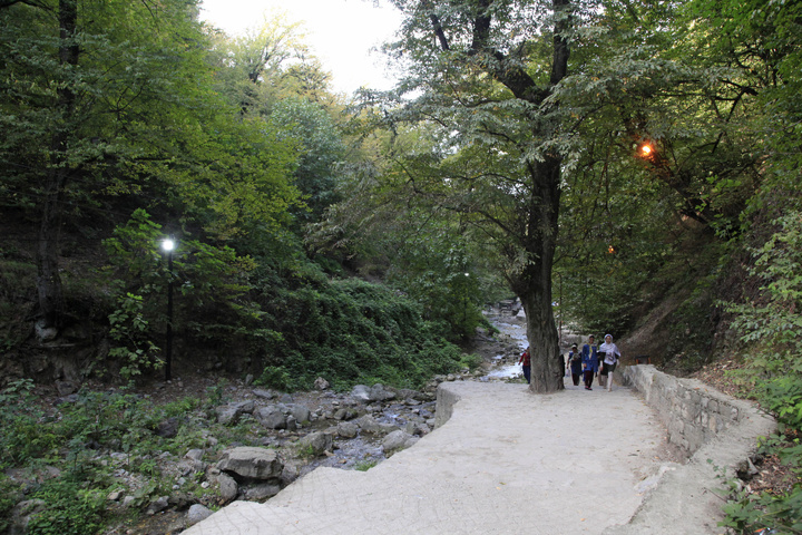 افزایش آمادگی جنگل‌های هیرکانی با ۶ دستگاه اطفای حریق پیشرفته