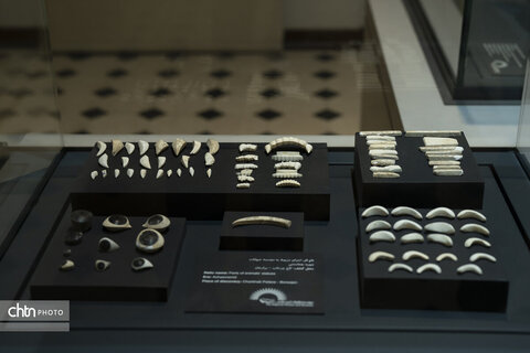 آثار برجسته از دوره اشکانی و هخامنشی در موزه منطقه ای خلیج فارس