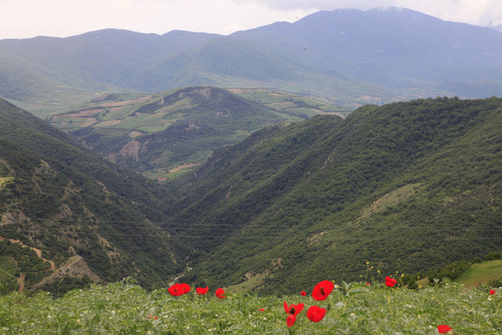جلوگیری از تصرف ۳۸۰ هکتار از مراتع ارزشمند در شرق گلستان