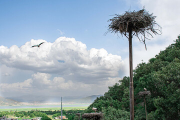 دره‌تفی، از یک روستای مرزی تا الگوی ملی امنیت زیستگاه