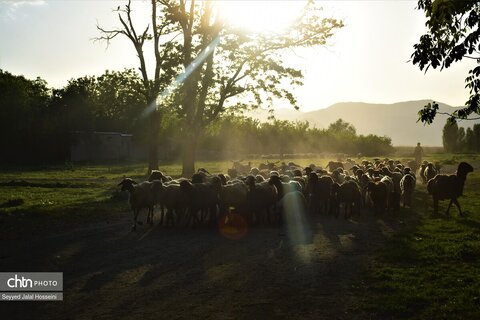 تجربه پرواز بر فراز دریاچه زریبار کردستان