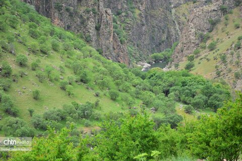 پالنگان، زیباترین روستای هدف گردشگری کردستان