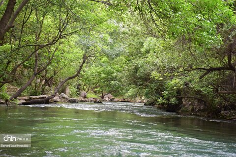 پالنگان، زیباترین روستای هدف گردشگری کردستان