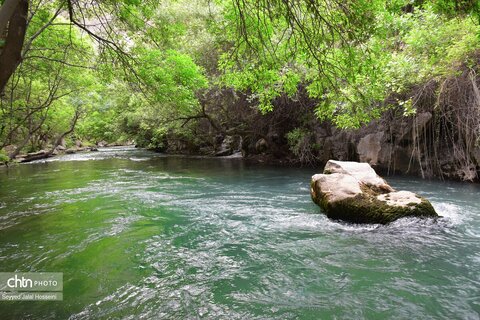 پالنگان، زیباترین روستای هدف گردشگری کردستان
