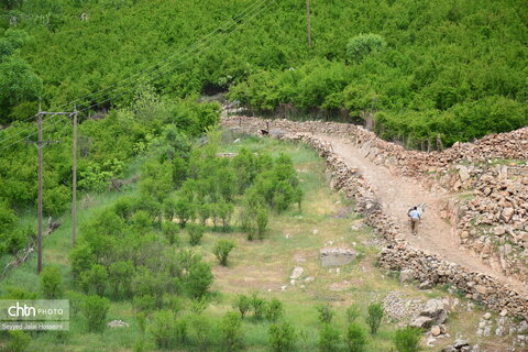 پالنگان، زیباترین روستای هدف گردشگری کردستان