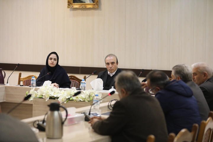 بررسی مشکلات ۷ طرح گردشگری در کمیته تخصصی ستاد تسهیل استان اردبیل