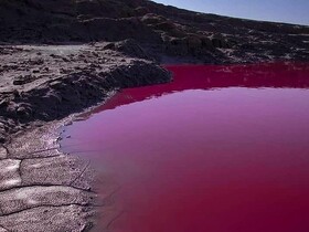 گل فشان نفتیلجه گمیشان - دریاچه صورتی