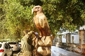 تبدیل درختان خشکیده به جاذبه‌های هنری و گردشگری در اهواز