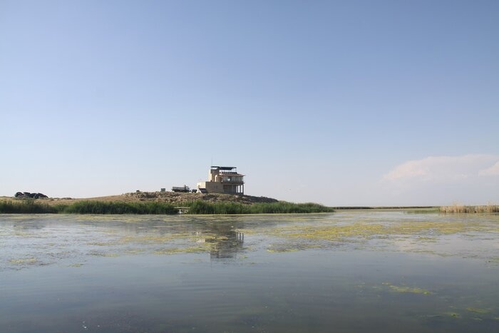 جان دوباره تالاب بین‌المللی کانی‌برازان مهاباد با بارش‌های اخیر