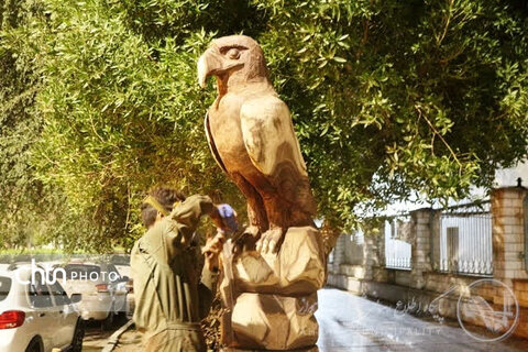 تبدیل درختان خشکیده به جاذبه‌های هنری و گردشگری در اهواز