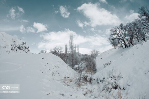 نگین سبز الوند، در آغوش سرد زمستان