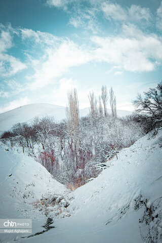 نگین سبز الوند، در آغوش سرد زمستان
