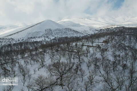 نگین سبز الوند، در آغوش سرد زمستان