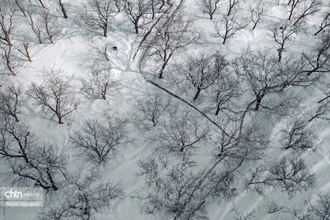 نگین سبز الوند، در آغوش سرد زمستان
