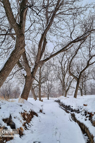 نگین سبز الوند، در آغوش سرد زمستان