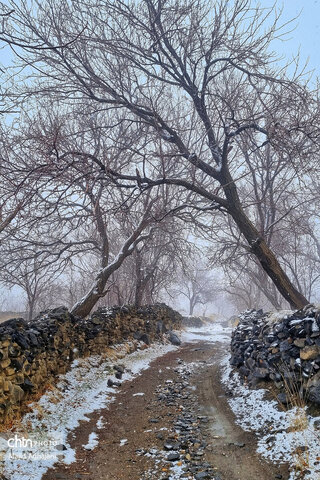 نگین سبز الوند، در آغوش سرد زمستان