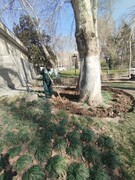 اجرای طرح حفاظت و ساماندهی فضای سبز در مجموعه فرهنگی‌تاریخی کاخ نیاوران