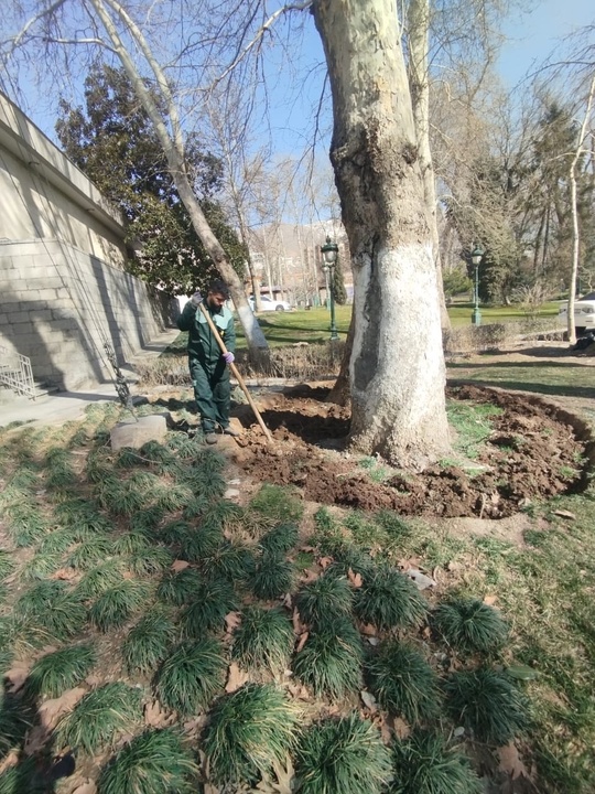 اجرای طرح حفاظت و ساماندهی فضای سبز در مجموعه فرهنگی‌تاریخی کاخ نیاوران
