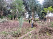 بهسازی و سامان‌دهی فضای سبز در باغ‌موزه هفت‌تپه انجام شد