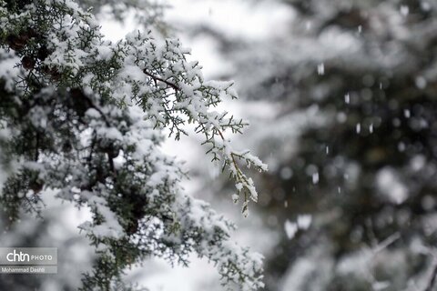 اردبیل سپید پوش شد