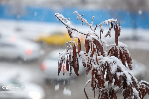 اردبیل سپید پوش شد