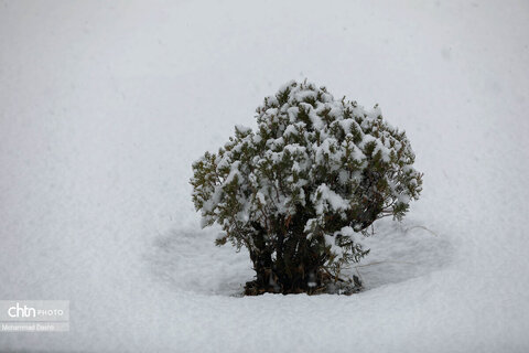 اردبیل سپید پوش شد