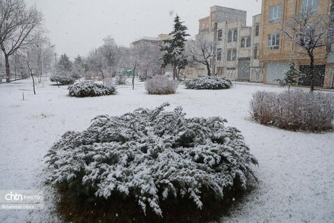 اردبیل سپید پوش شد