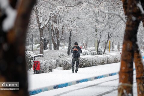 اردبیل سپید پوش شد