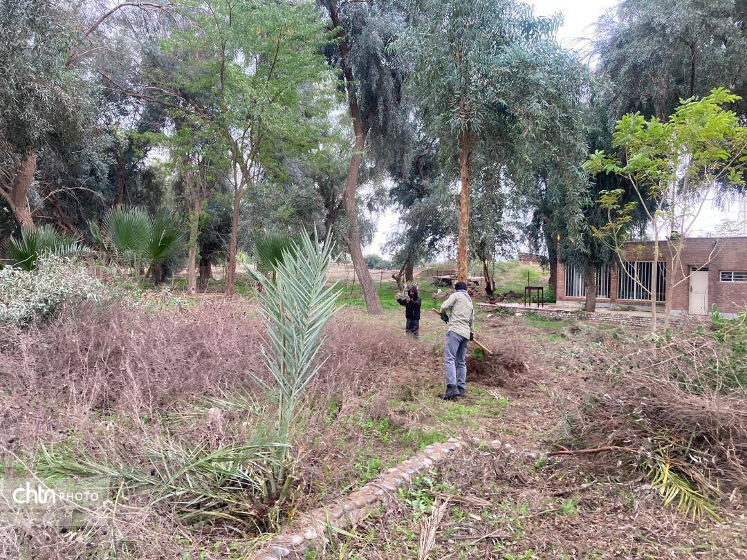 بهسازی و ساماندهی فضای سبز در باغموزه هفتتپه انجام شد