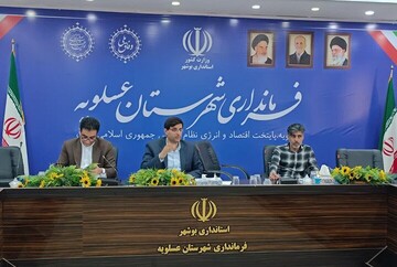 معاون فرماندار عسلویه: پرداخت وام مشاغل خانگی تسهیل شود