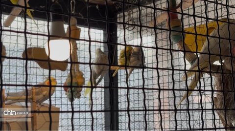 تجربه‌ای متفاوت از هنر و حال‌وهوای اصیل در باغ ایرو