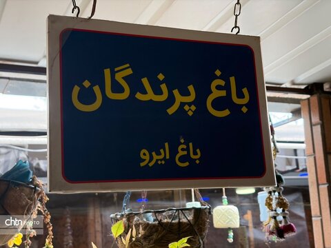 تجربه‌ای متفاوت از هنر و حال‌وهوای اصیل در باغ ایرو