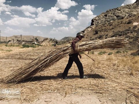 بوریابافی زرقان