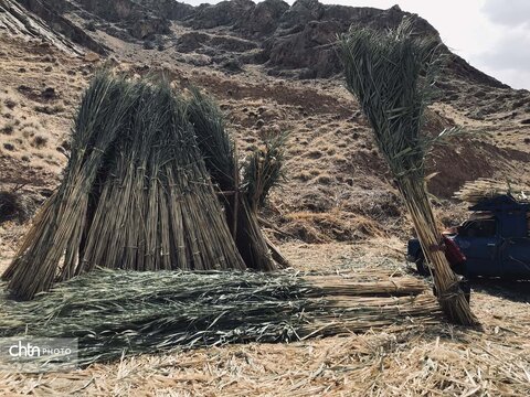 بوریابافی زرقان