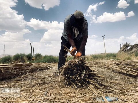 بوریابافی زرقان