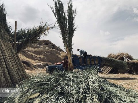 بوریابافی زرقان