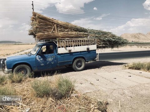 بوریابافی زرقان