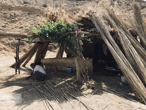 بوریابافی زرقان