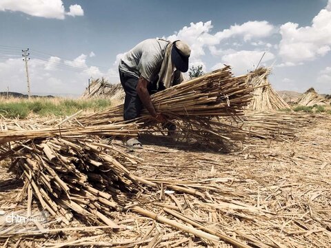 بوریابافی زرقان