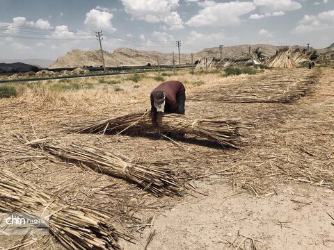 بوریابافی زرقان