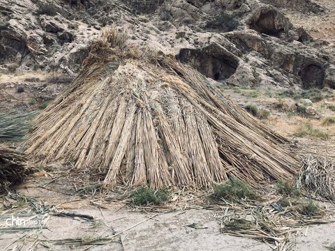 بوریابافی زرقان