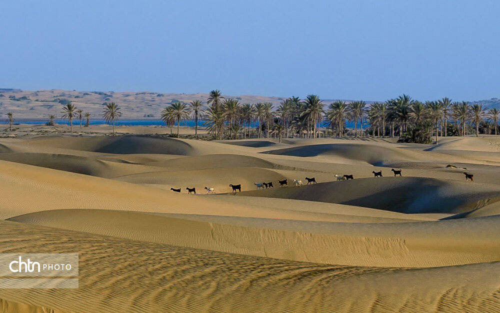 ساحل «دَرَک» بلوچستان؛ جایی که کویر و دریا در آغوش هم دیدنی میشود