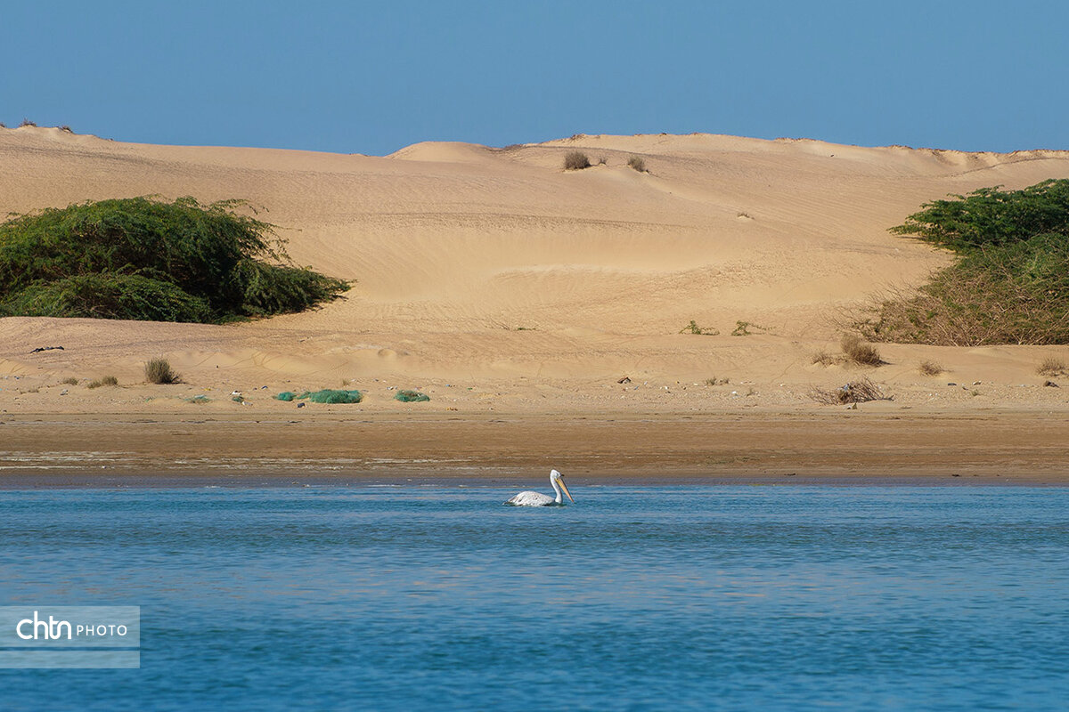 ساحل «دَرَک» بلوچستان؛ جایی که کویر و دریا در آغوش هم دیدنی می‌شود